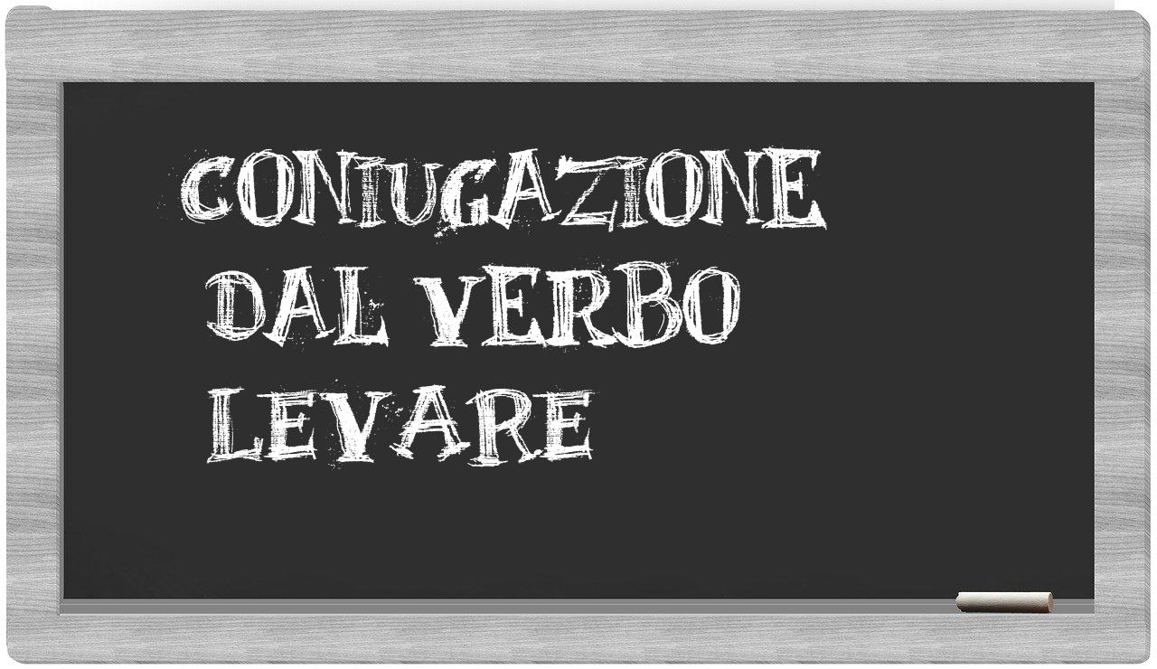 ¿levare en sílabas?